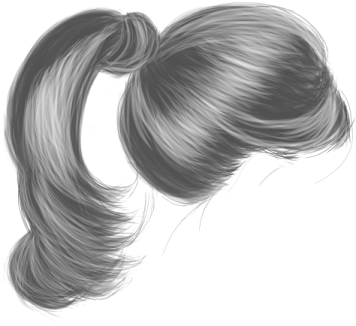 a black and white drawing of a ponytail