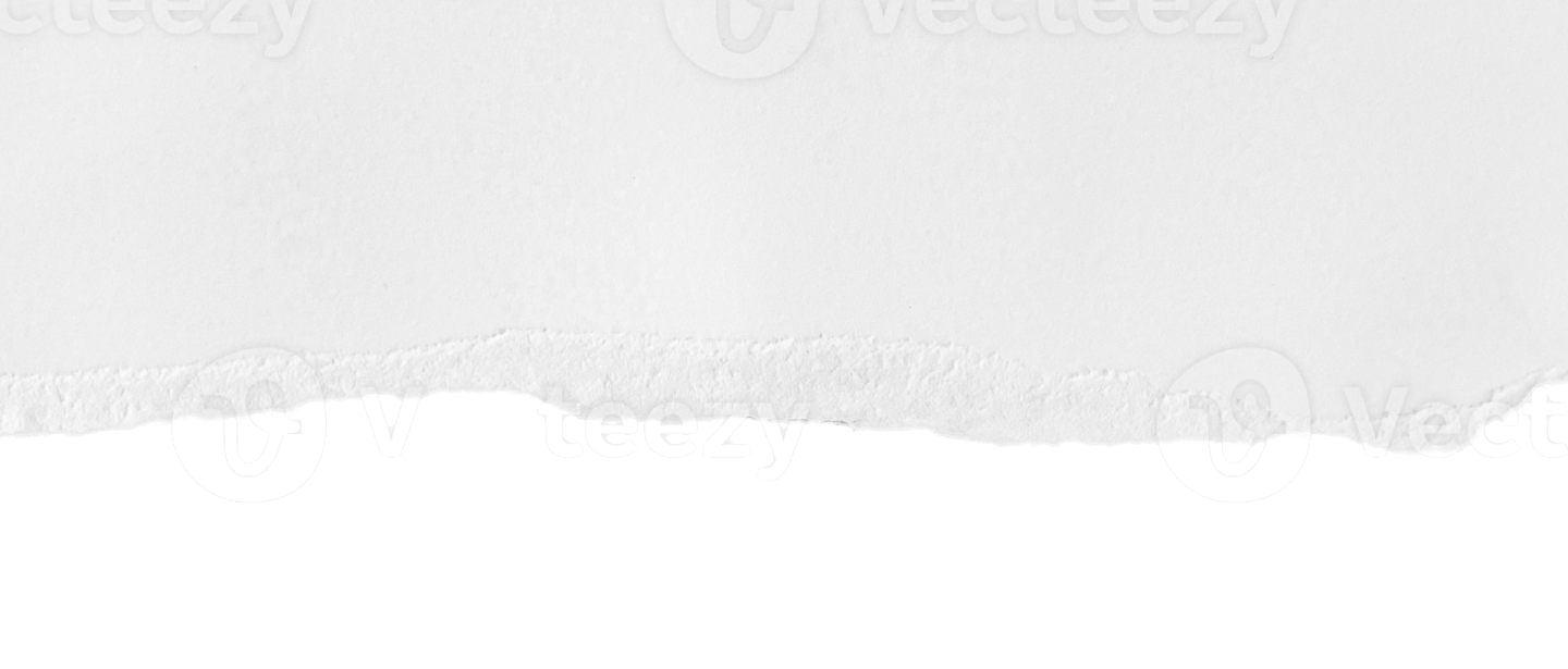 a piece of white paper with torn edges