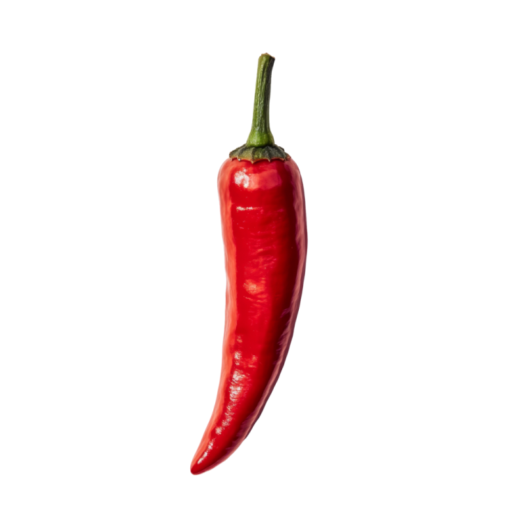 a red hot pepper on a white background