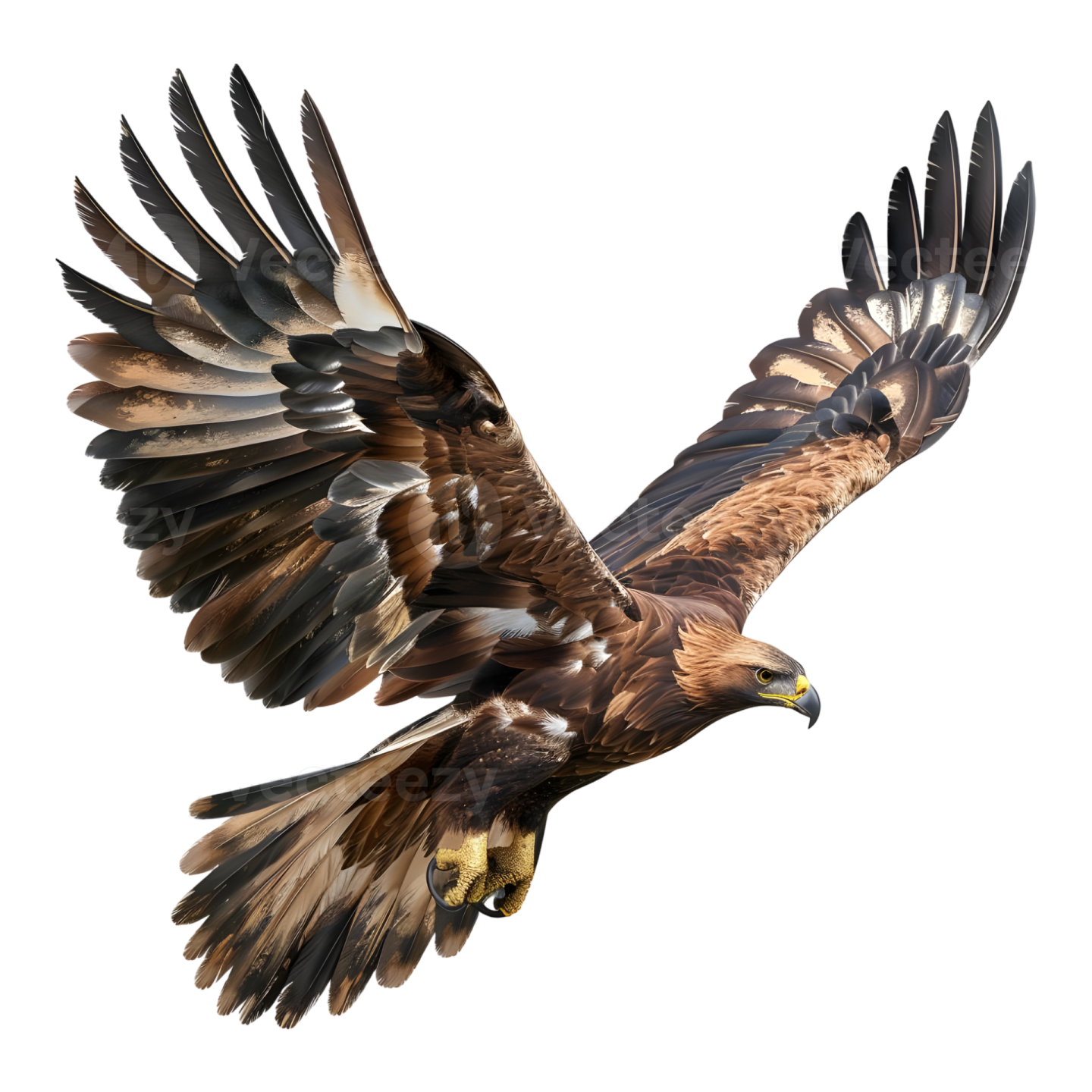 a large bird flying in the air