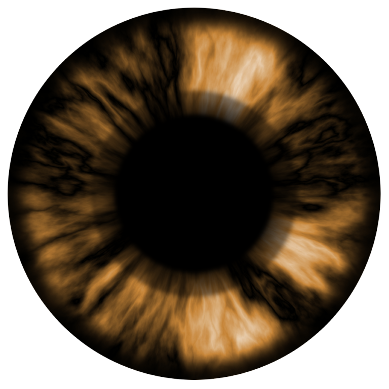 an image of a brown eye