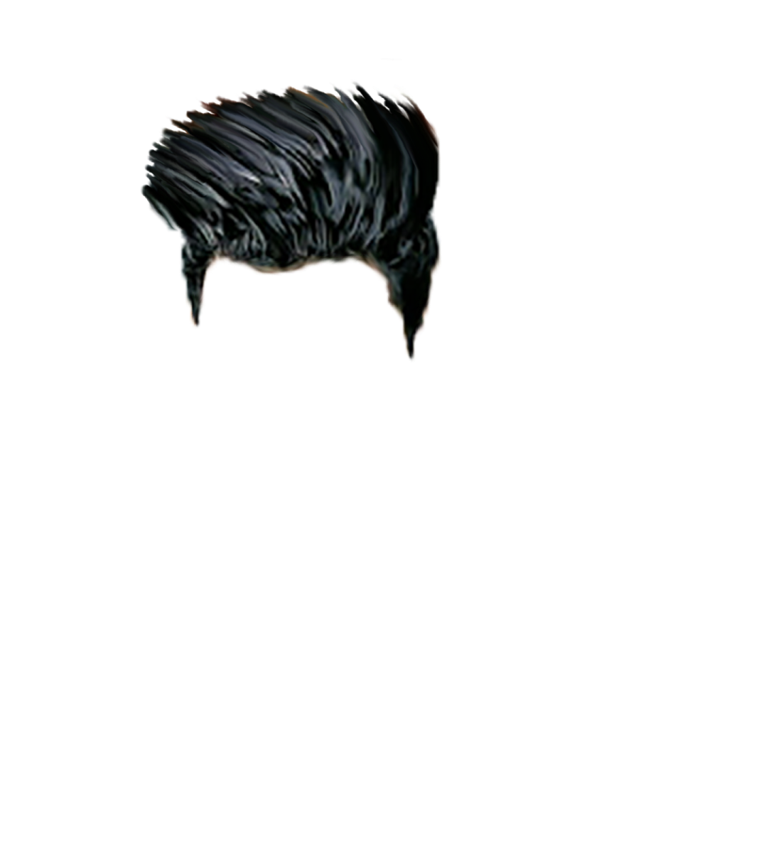 a drawing of a black bird on a white background