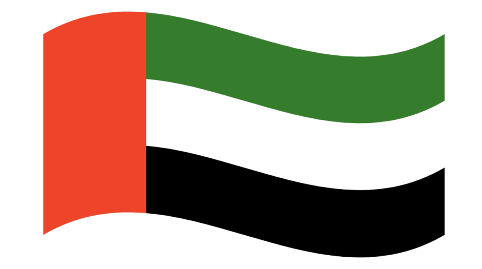 the flag of kuwait