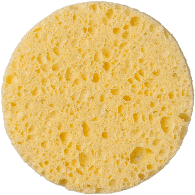 a piece of cheese on white background