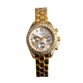 an image of a women's watch