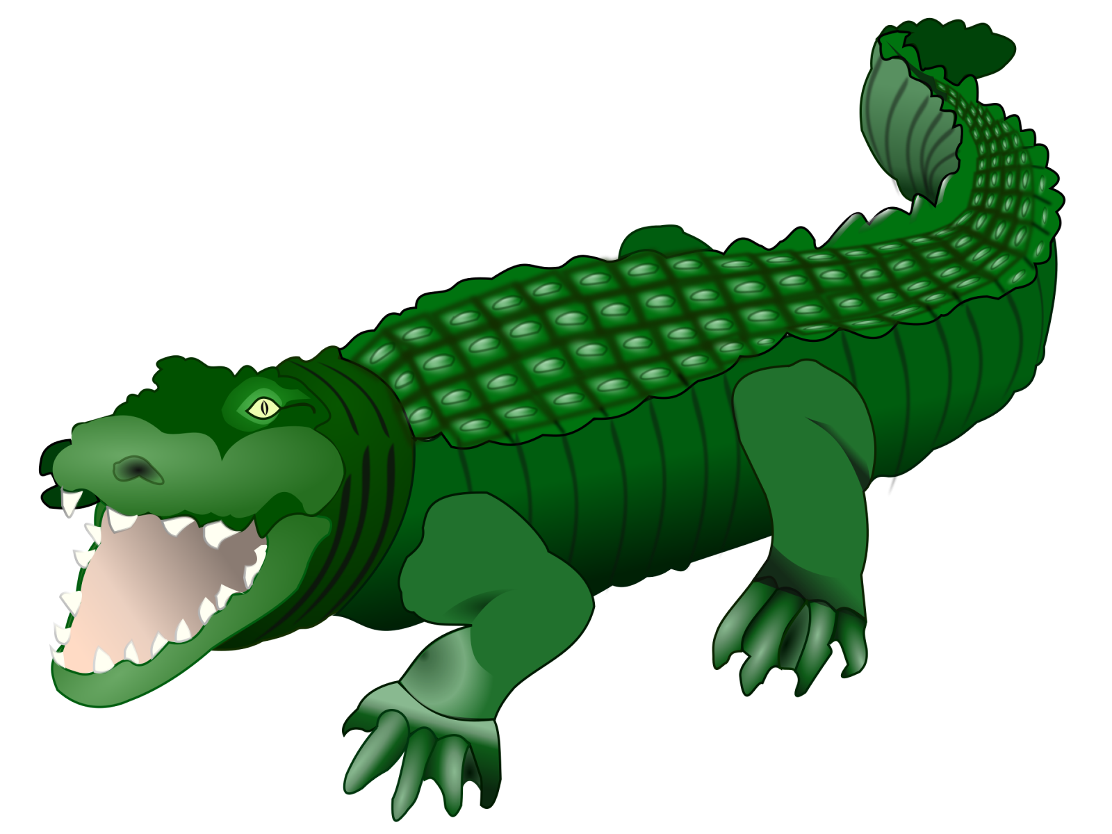 an alligator with its mouth open