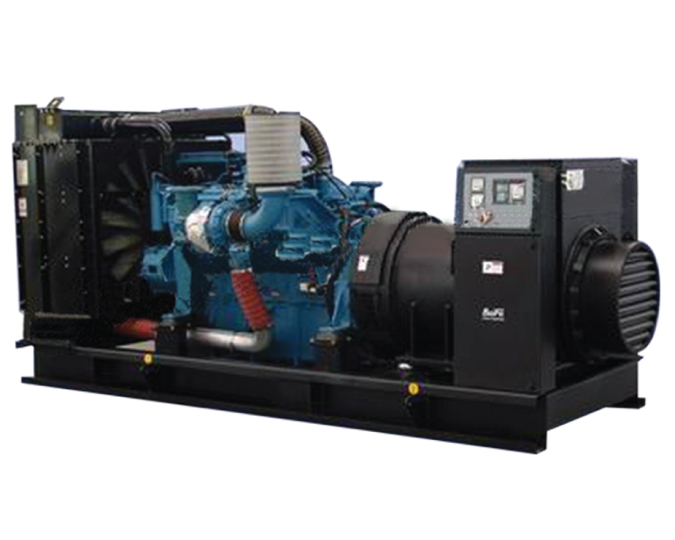 a diesel generator for sale