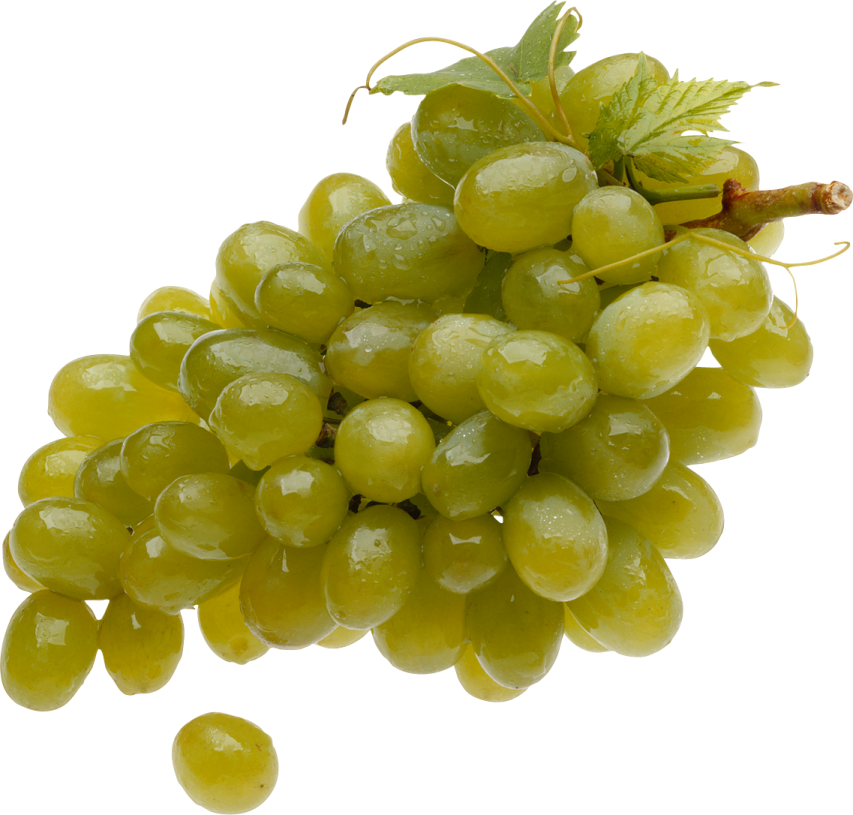 a bunch of grapes on a white background