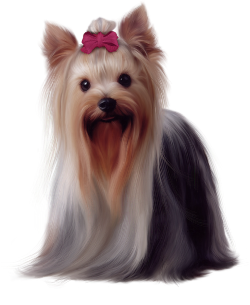 a dog with a pink bow on its head