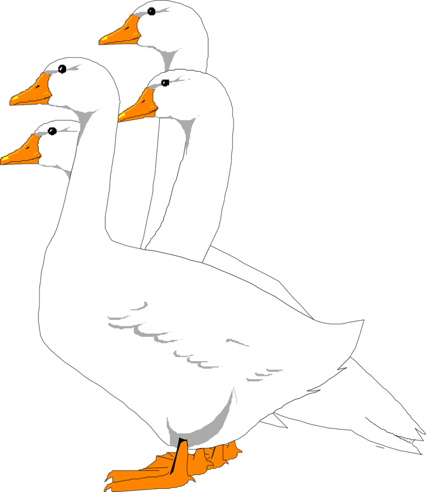 how to draw a pair of ducks