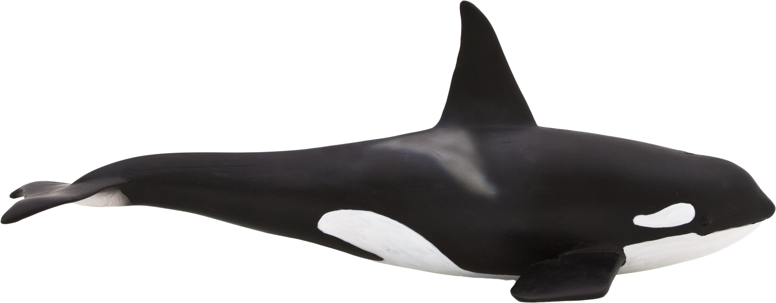 a black and white orca whale on a white background
