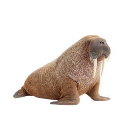 a seal with its mouth open sitting on the ground