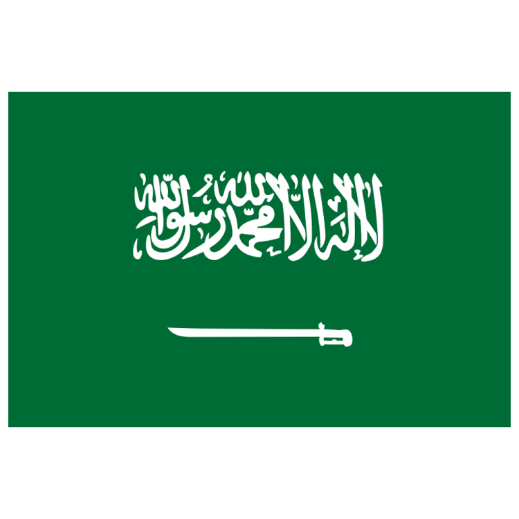 the saudi flag
