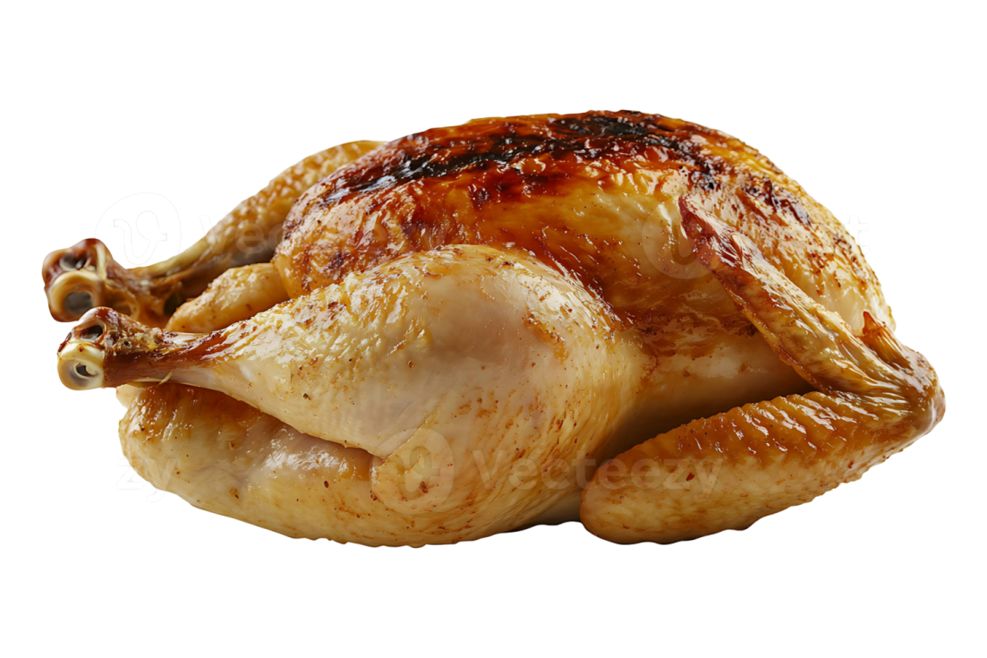 a whole chicken on a white background