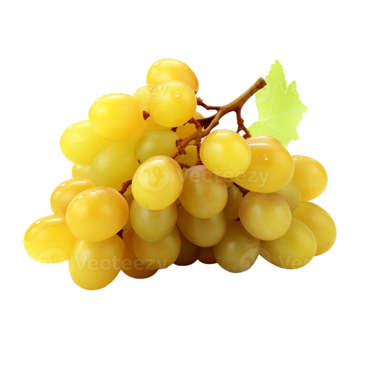 a bunch of grapes on a white background