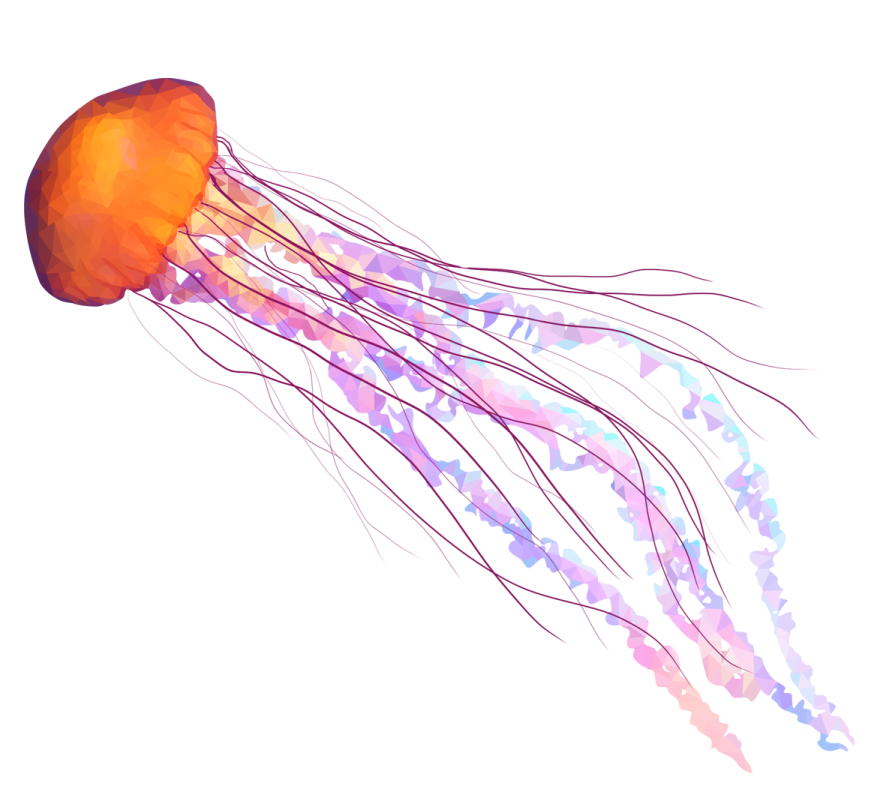 a jellyfish is swimming in the water