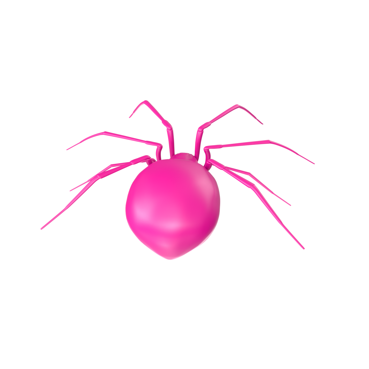 a pink spider on a white background