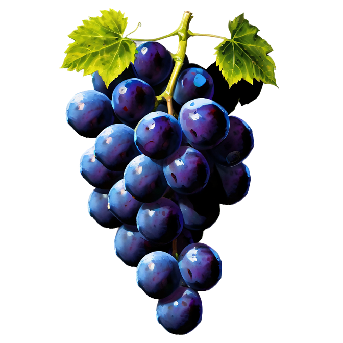 a bunch of grapes on a white background