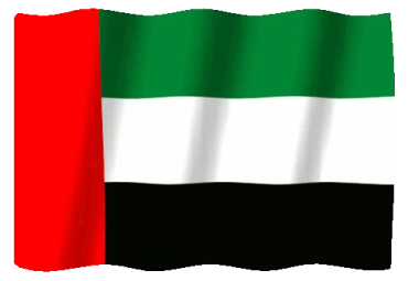 the flag of the united