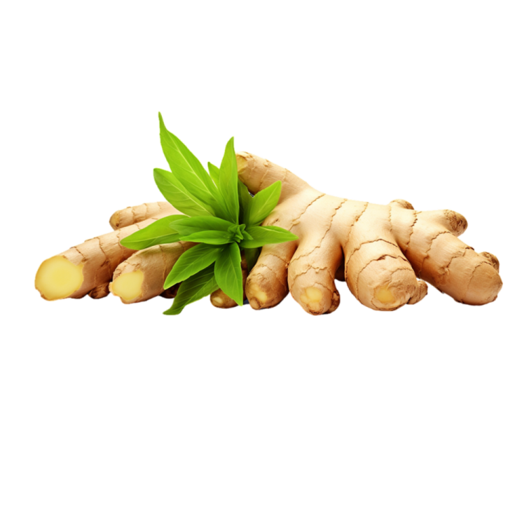 a pile of ginger root with green leaves