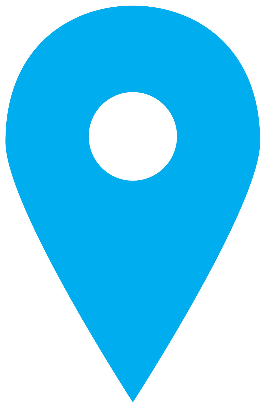 a blue pin with a white circle on it