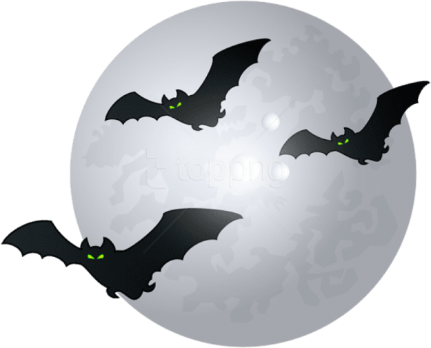 three bats flying in front of a full moon