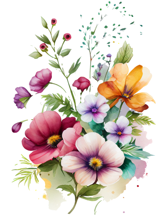 a bouquet of colorful flowers on a white background