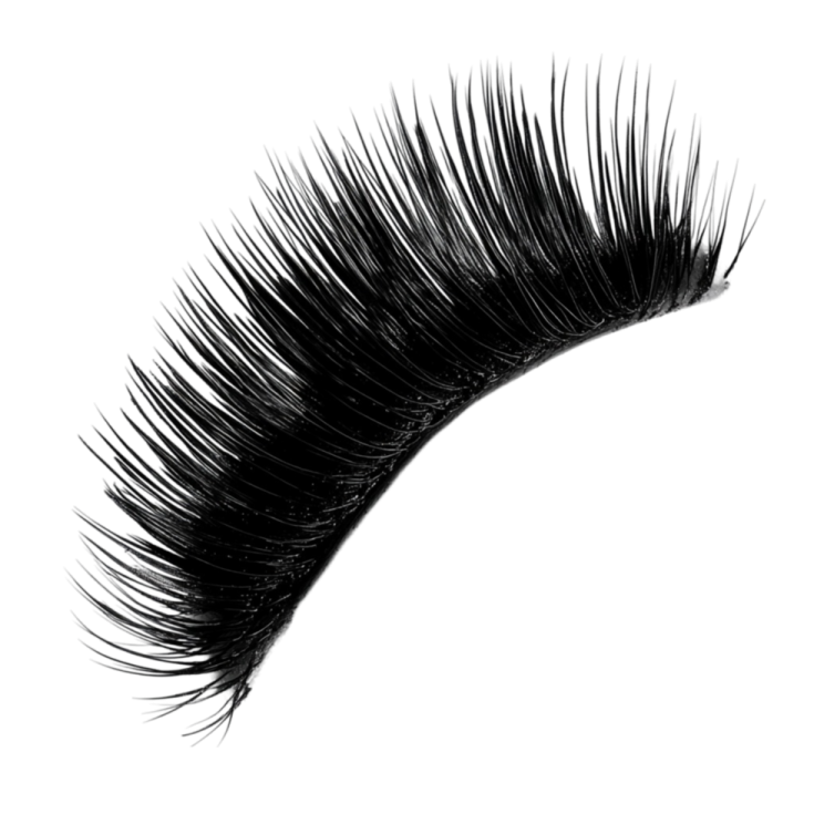 a close up of eyelashes on a white background