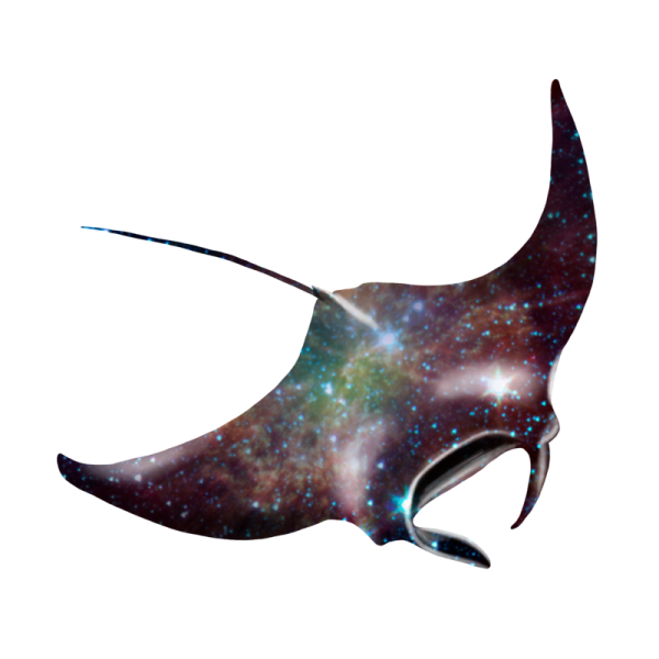 a black and white spotted manta ray