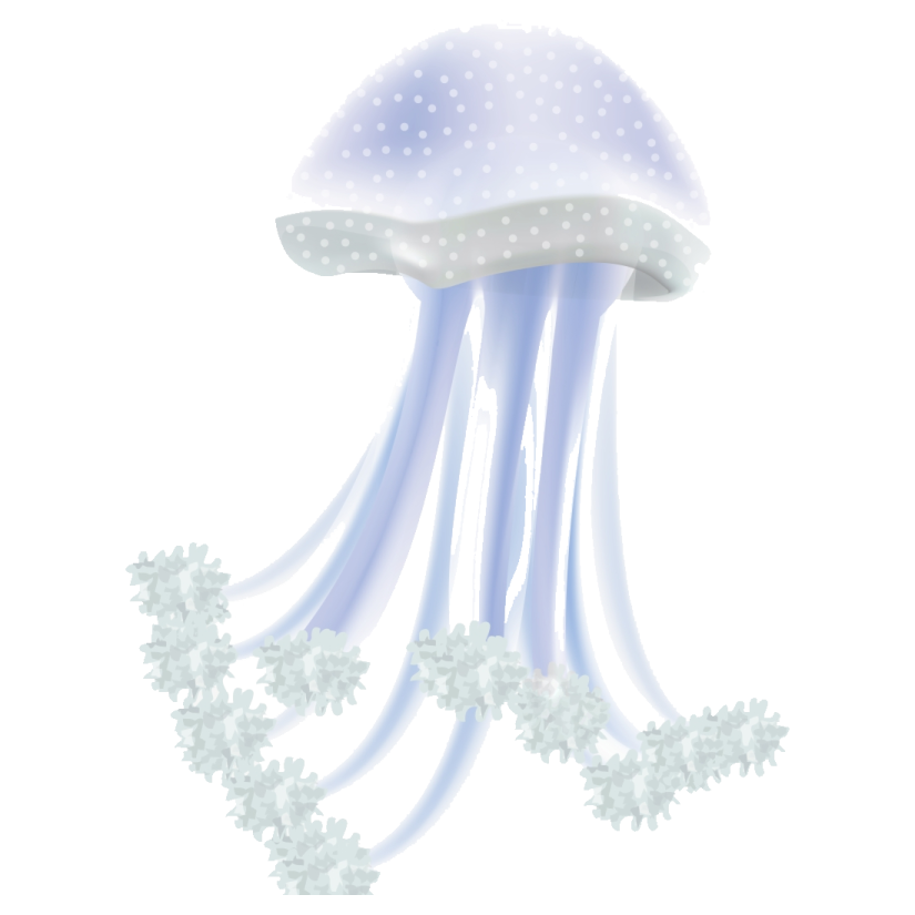 a blue and white jellyfish floating in the water