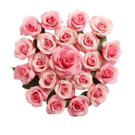 a bouquet of pink roses on a white background