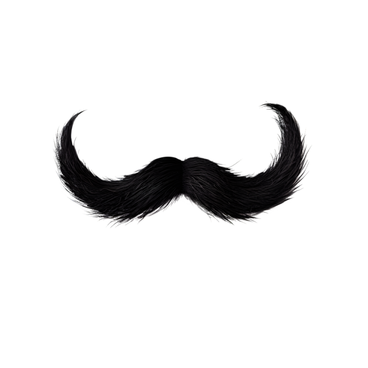 a black mustache on a white background