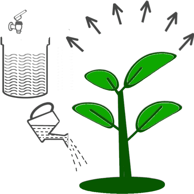 an image of a plant with water coming out of it