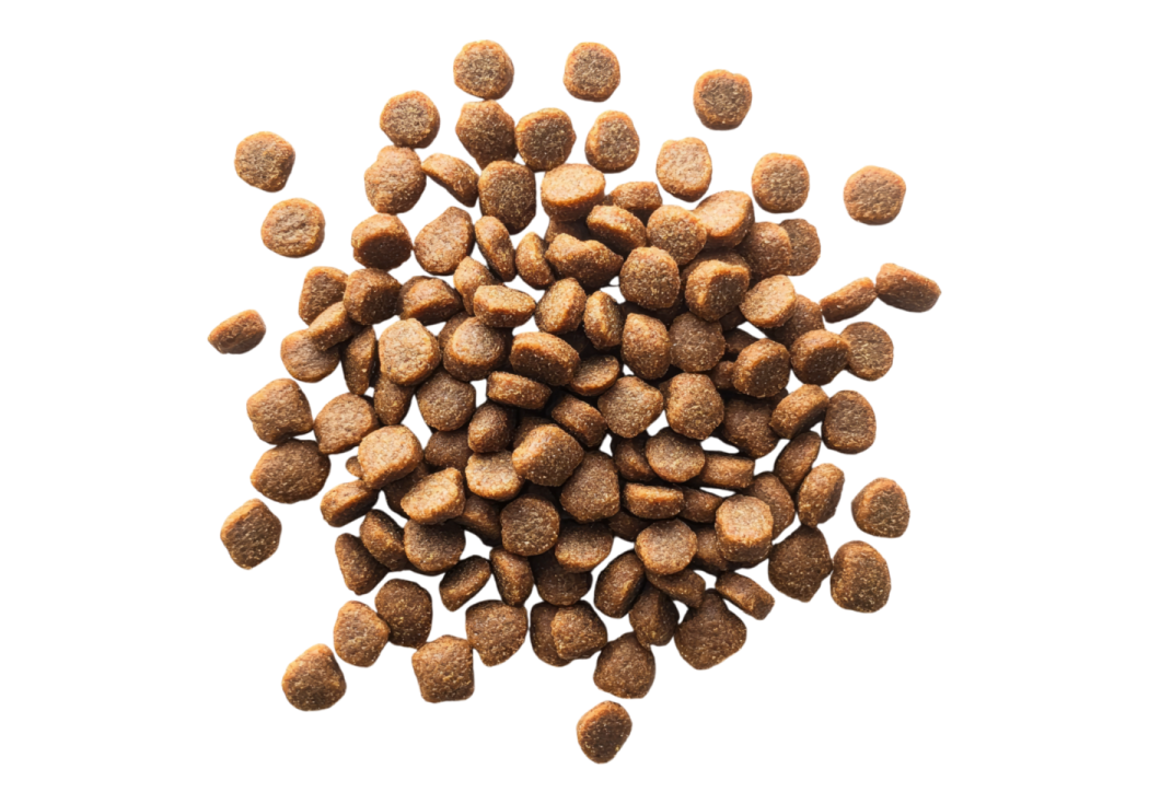 a pile of dry dog food