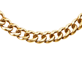 a gold chain necklace