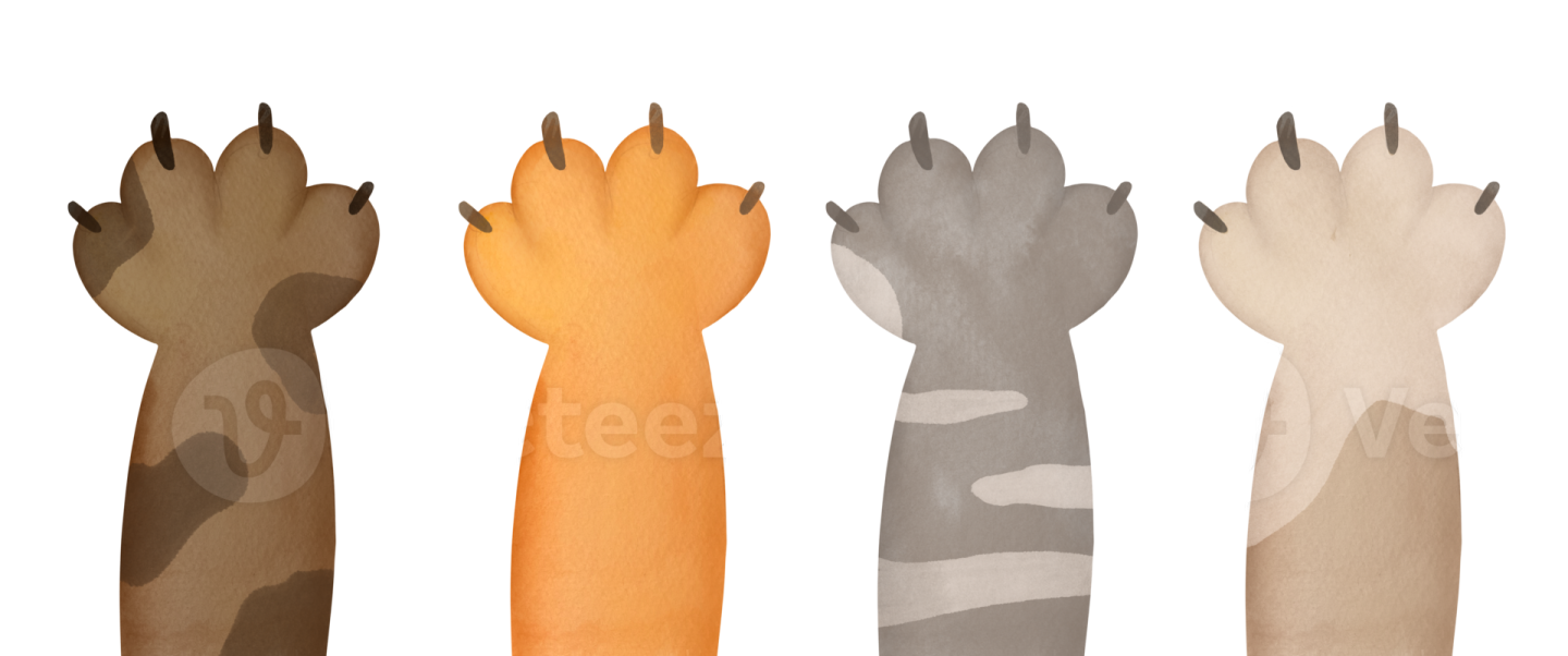four different colors of a cat's tail