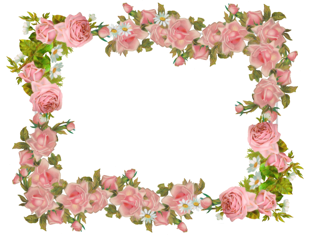 a frame with pink roses and green leaves