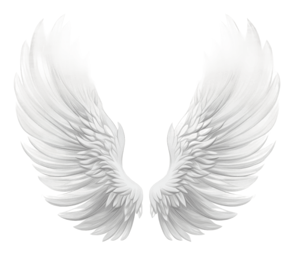 two white wings on a white background