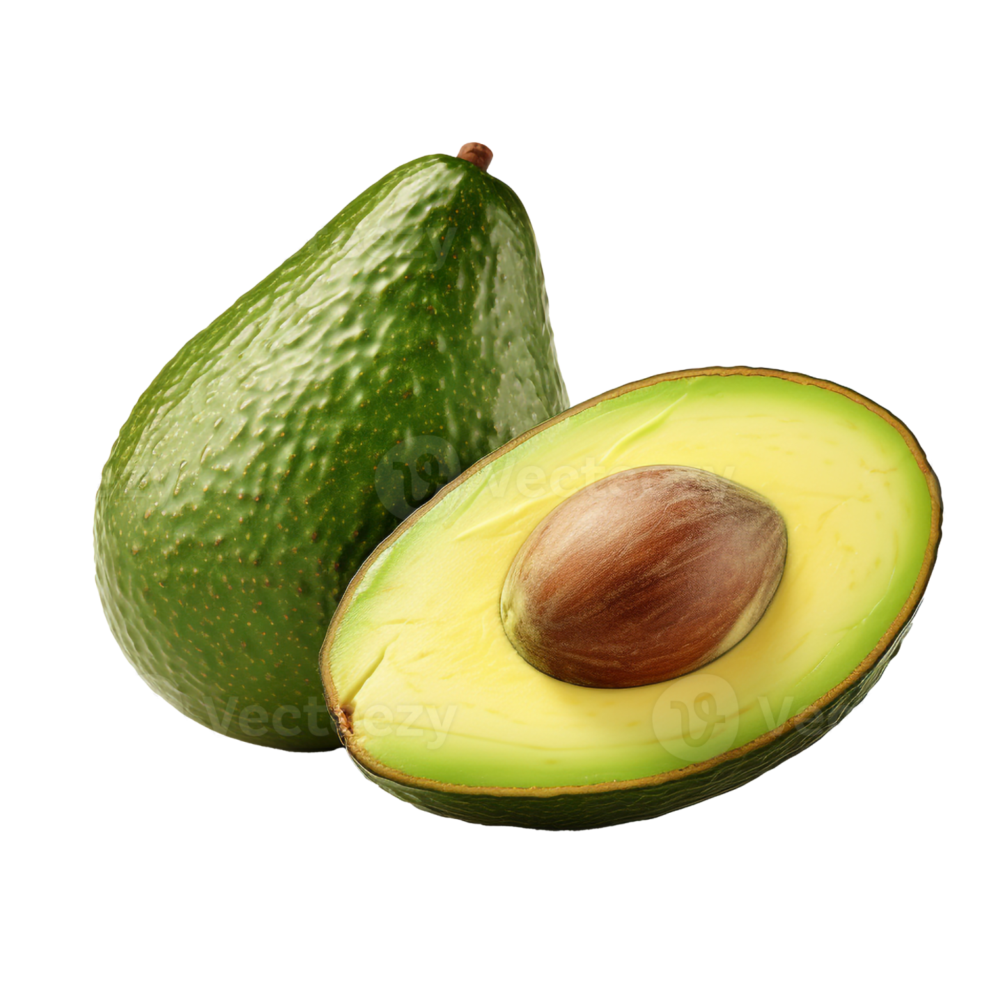 two avocas on a white background