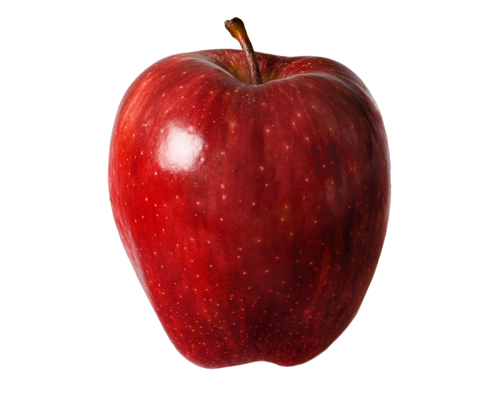 a red apple on a white background