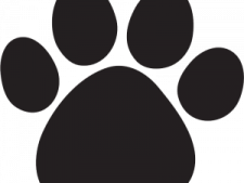 a black and white paw print on a white background