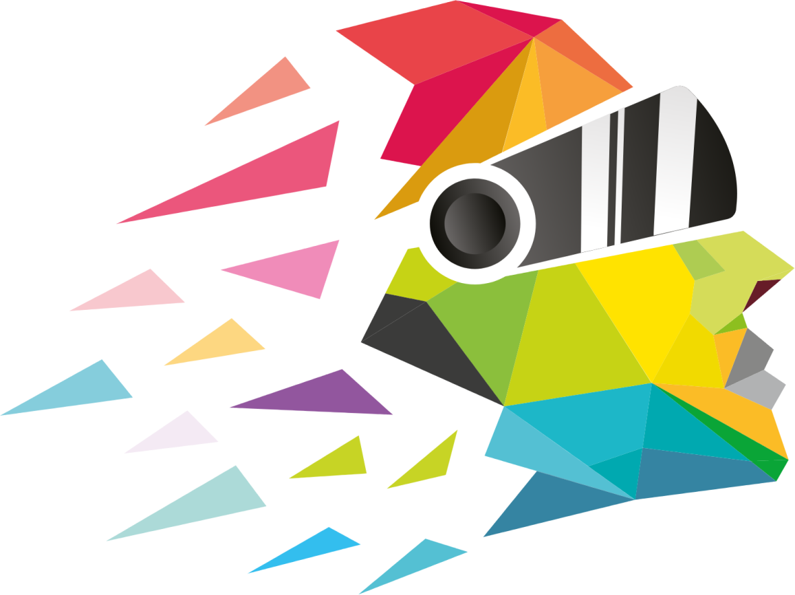 the logo of a camera with colorful triangles