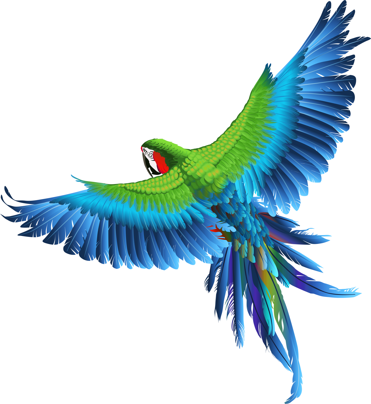 a parrot flying with its wings spread out