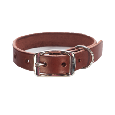 a brown leather dog collar with a silver buckle