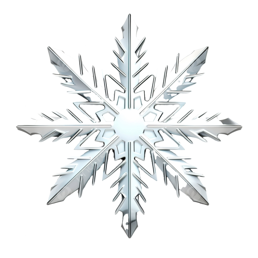 a silver snowflake on a white background