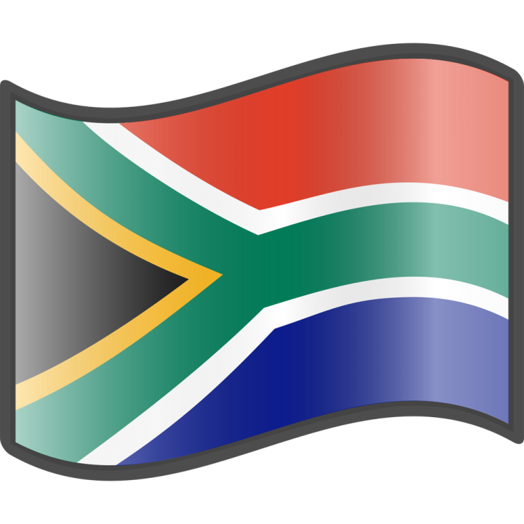 the south african flag