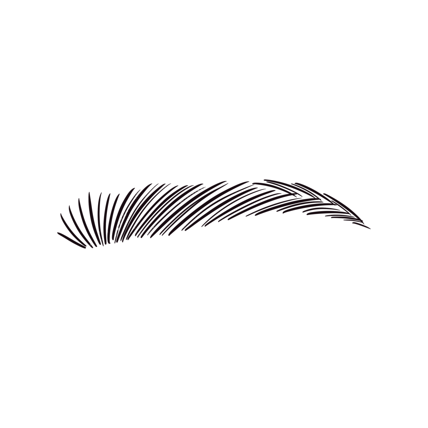 a black and white drawing of a feather