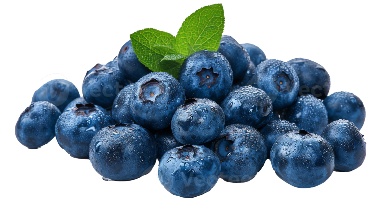 a pile of blueberries with green leaves