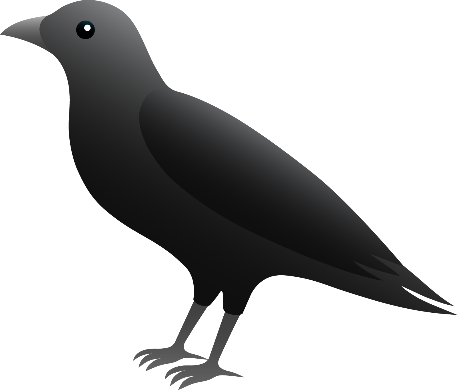 a black crow silhouetted on a white background