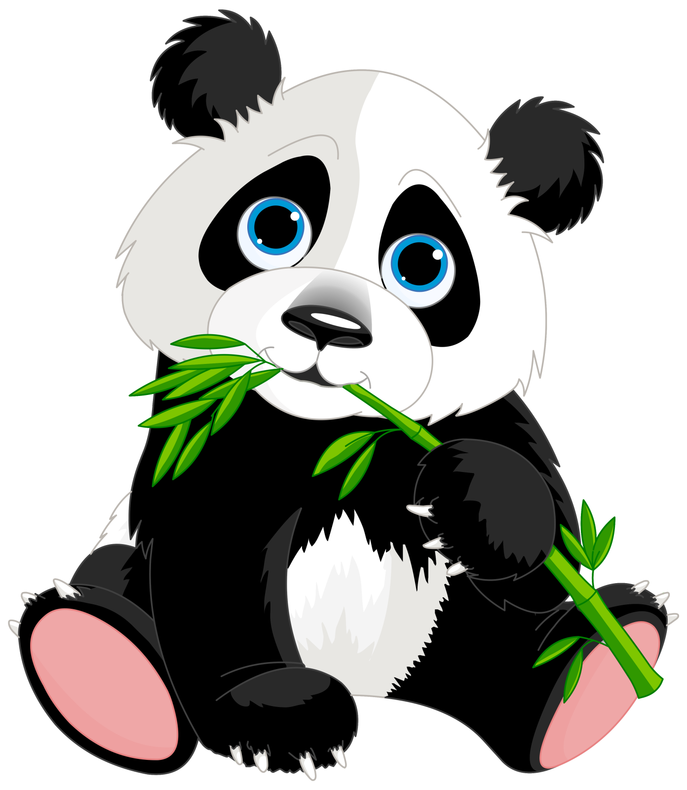panda eating bamboo clipart
